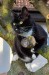 cuki260328a